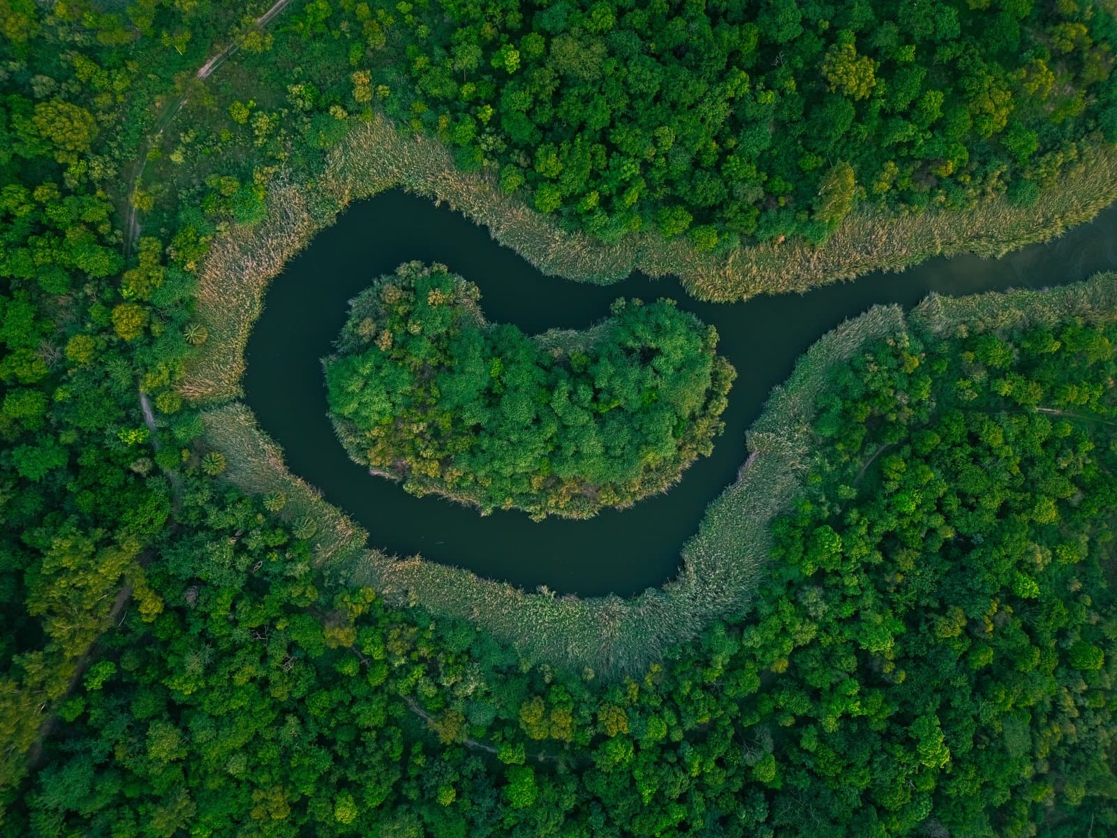 Nature and Environment